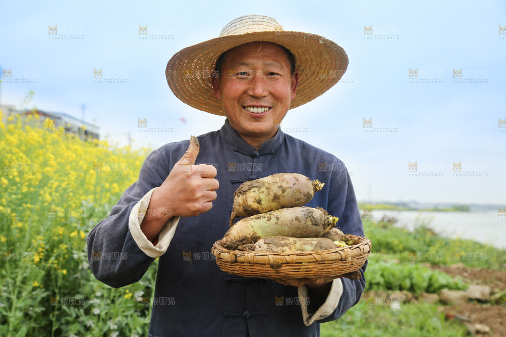手里端着一篮冰激凌水果萝卜