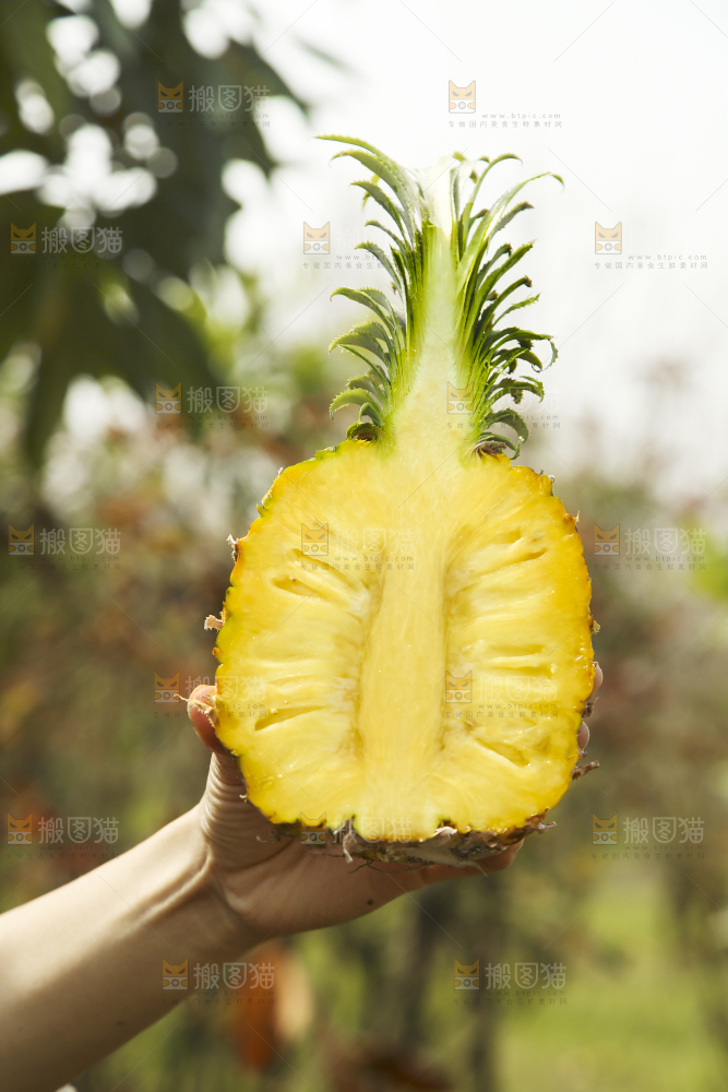 手里拿着切面的菠萝