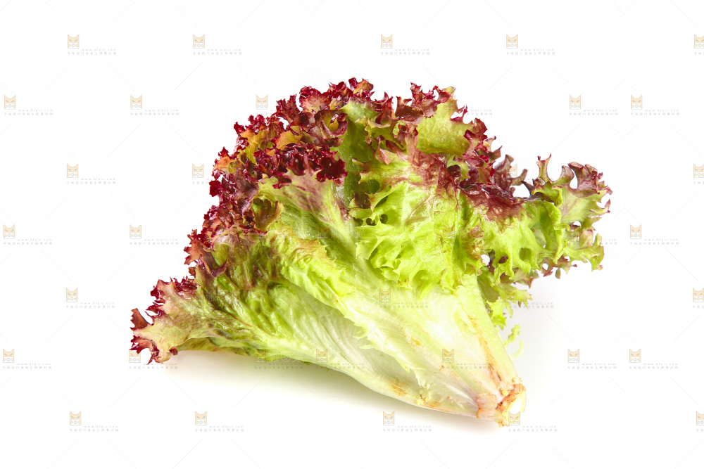 白底上的罗莎红生菜