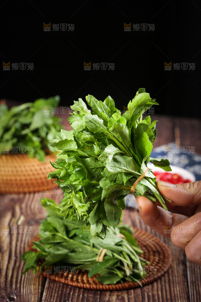 手里拿着枸杞嫩芽
