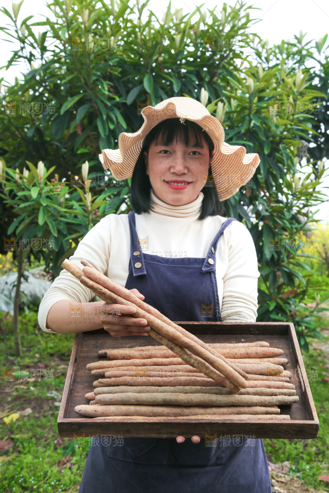 手里端着一盘铁棍山药