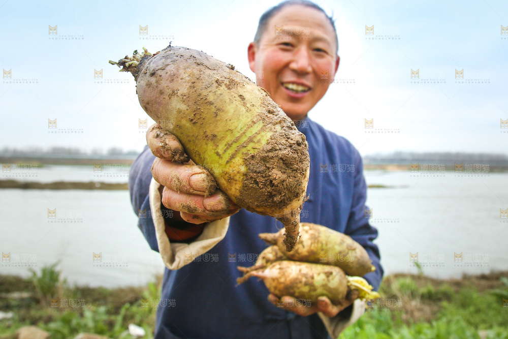 农民手里拿着冰淇林萝卜