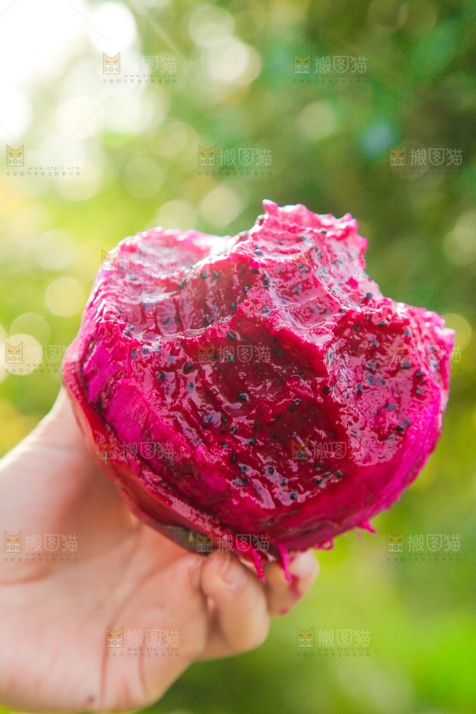 手里拿着咬过的红肉火龙果