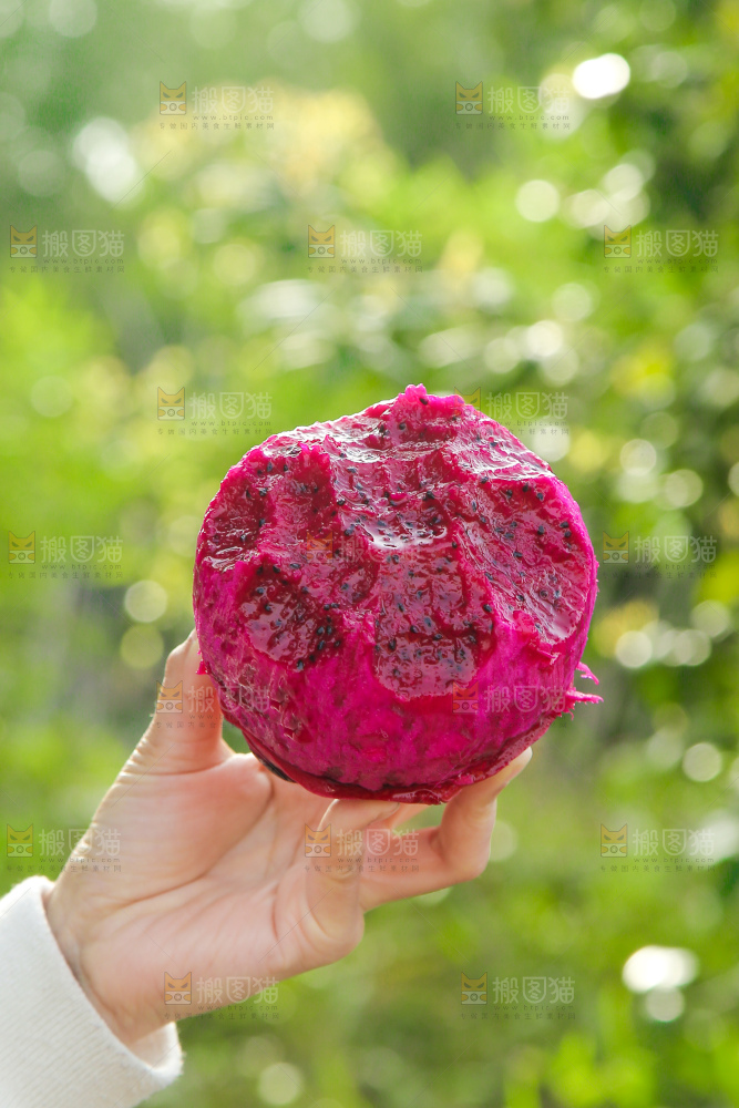 手里拿着咬过的红肉火龙果