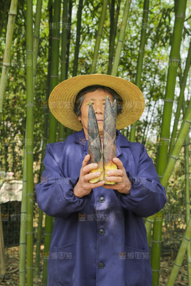 手里拿着临安春雷笋