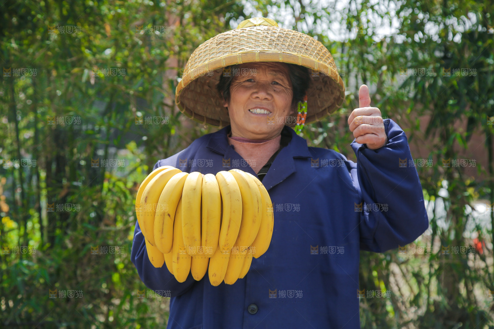 手里拿着一串黄皮香蕉