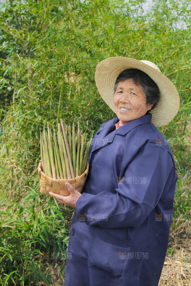 农民手里端着一篮小山笋