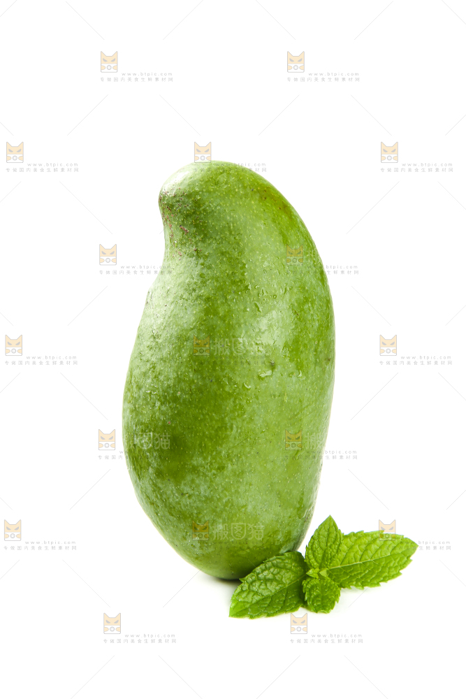 白底上的桂七芒