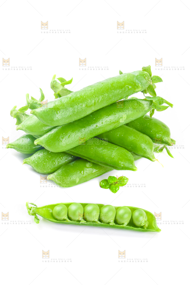 剥开的新鲜豌豆放在白底上