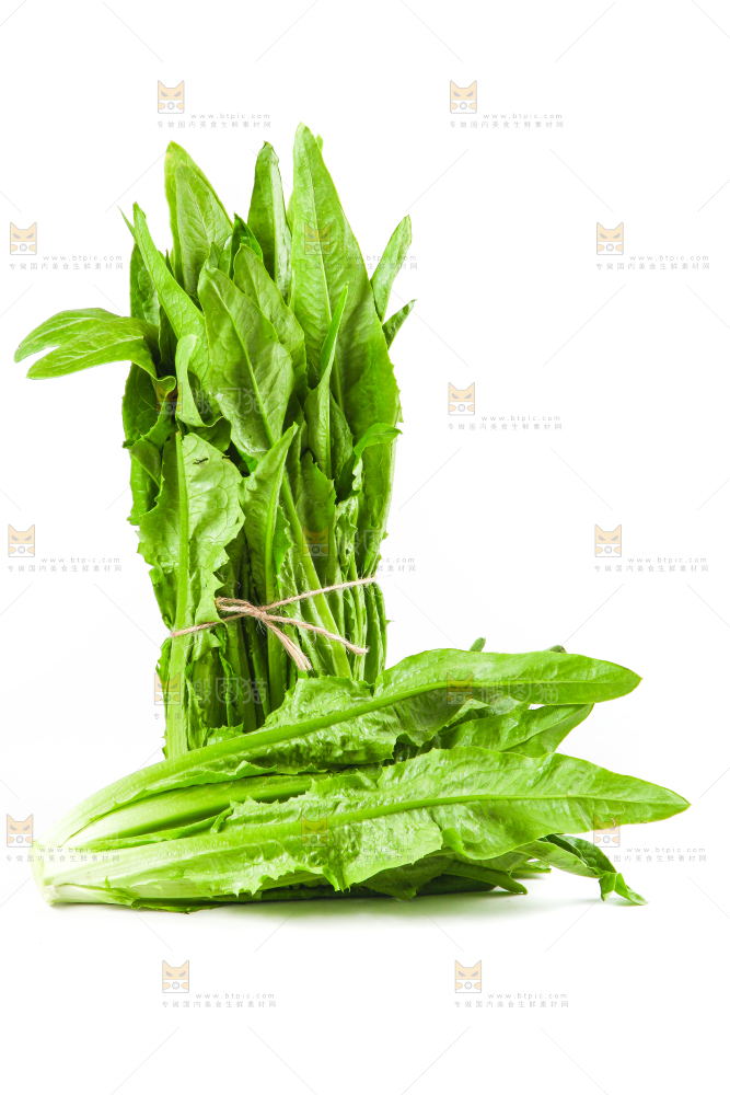 白底上的香麦菜