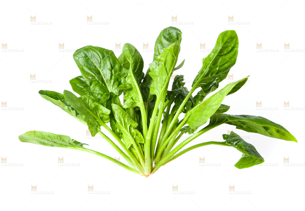 白底上放着菠菜