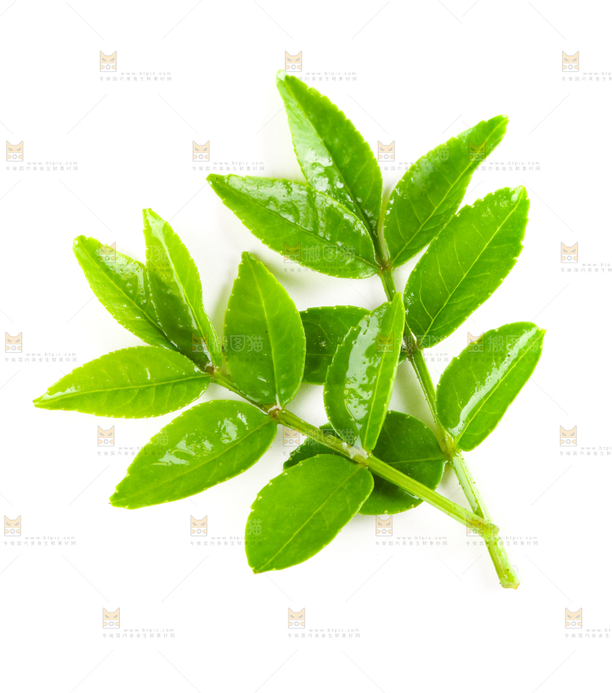 白底上放着花椒芽