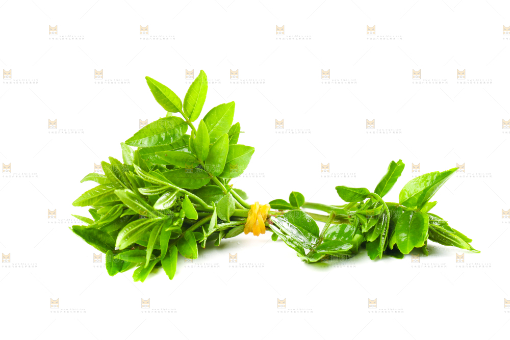 白底上放着花椒芽