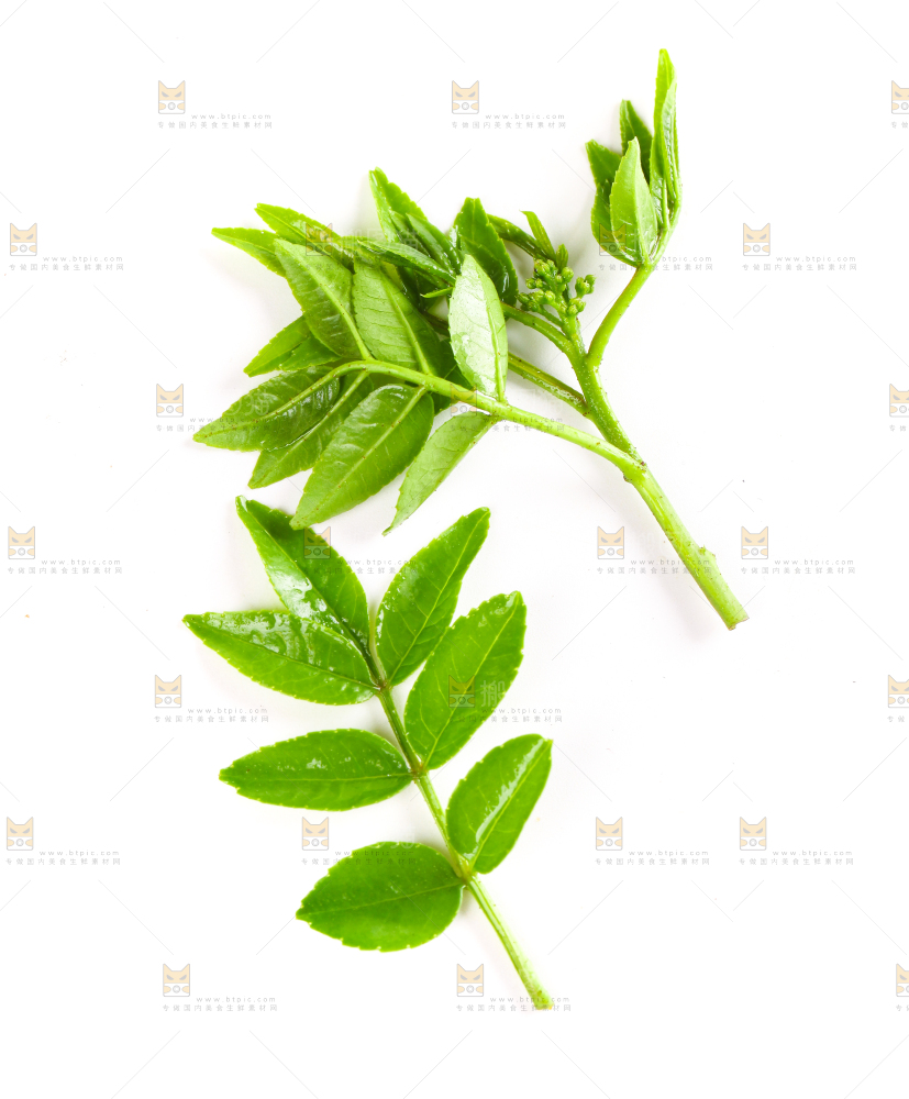 白底上放着花椒芽