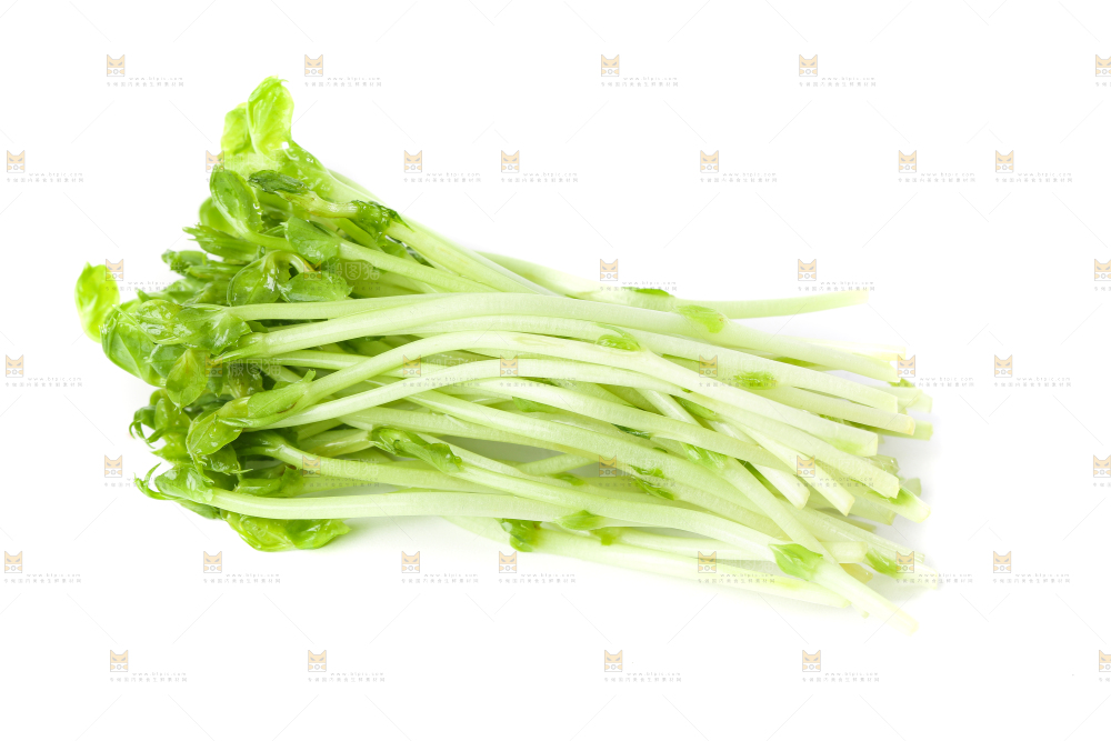 白底上放着豌豆芽菜