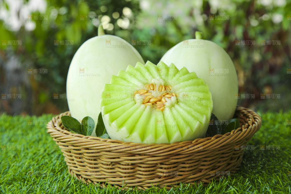 篮子里装着玉菇香瓜