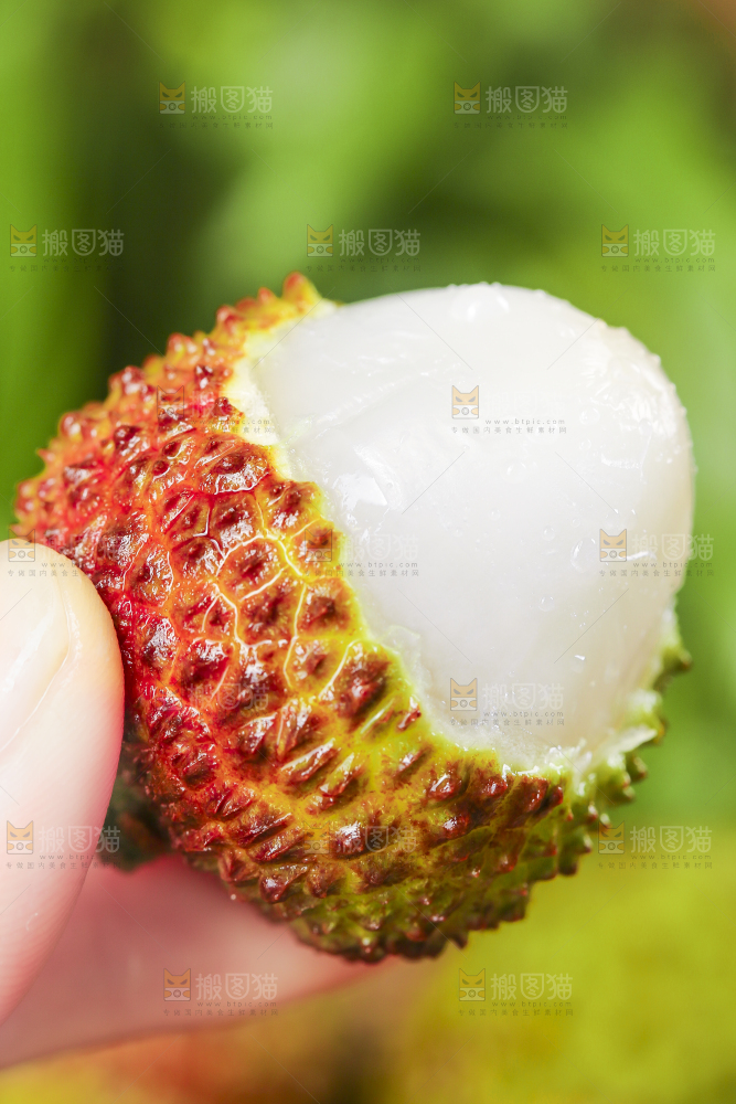 妃子笑荔枝