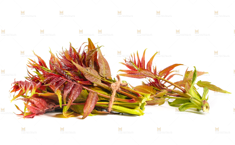 白底上摆放着香椿芽