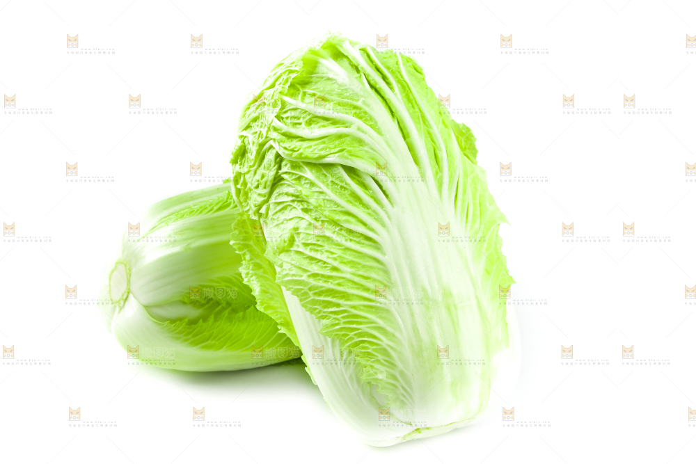 白底上放着大白菜