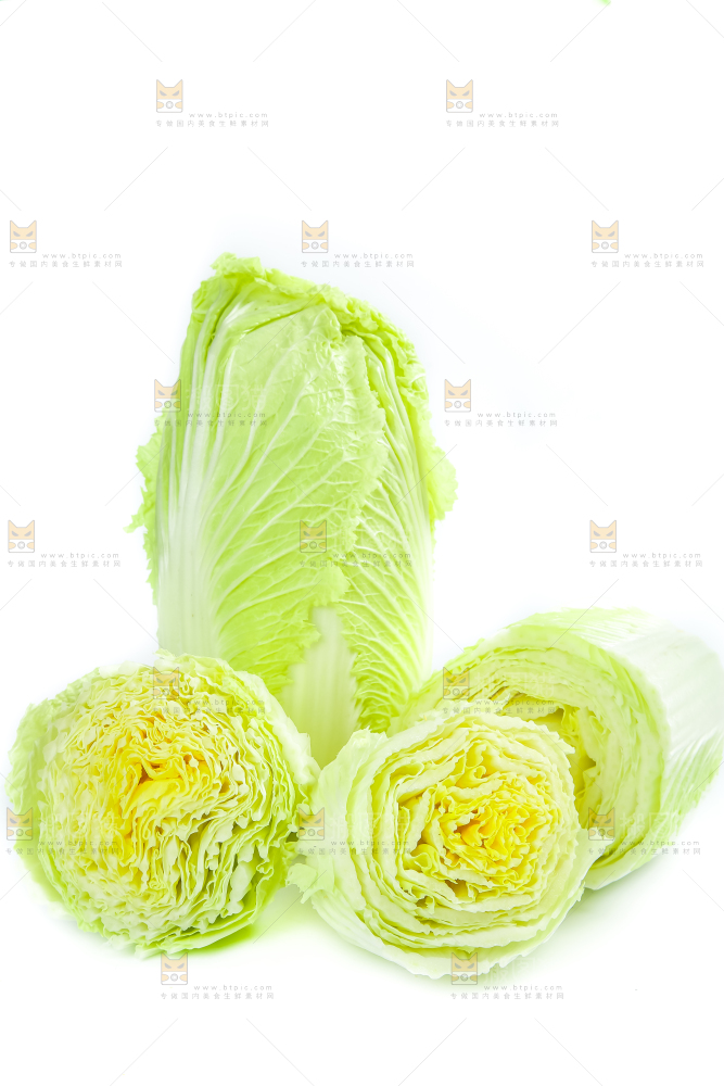 白底上放着大白菜