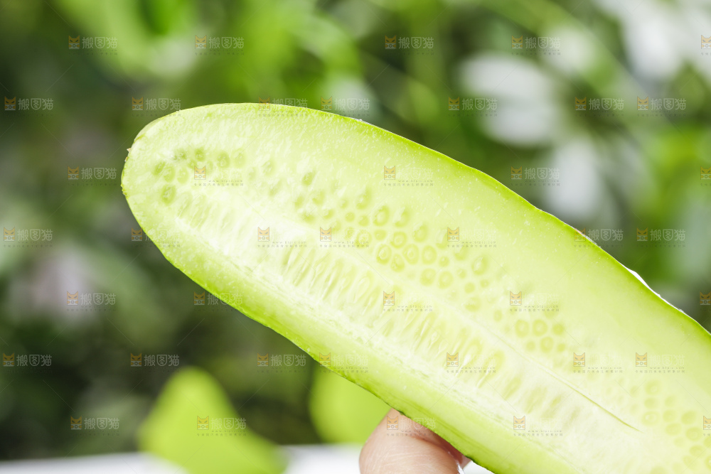手里拿着青瓜