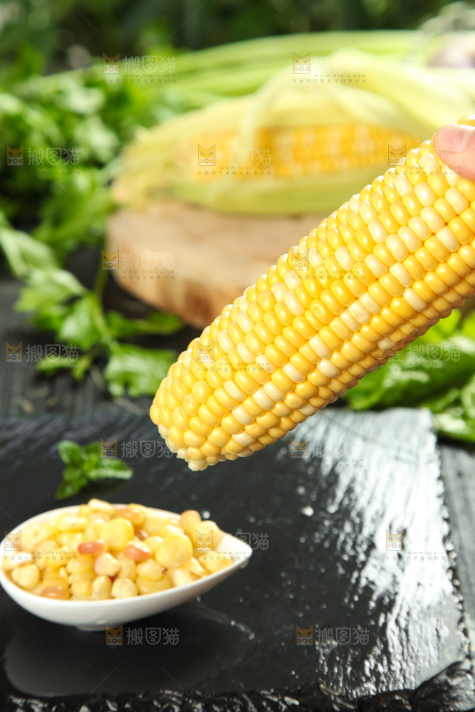 手里拿着糯玉米