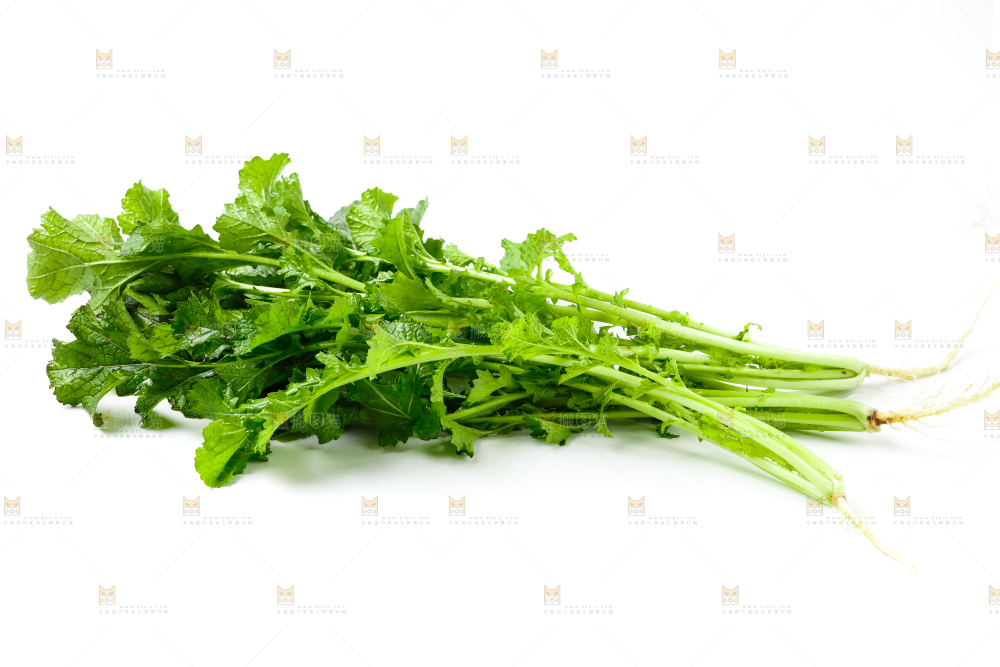白底上的腊菜
