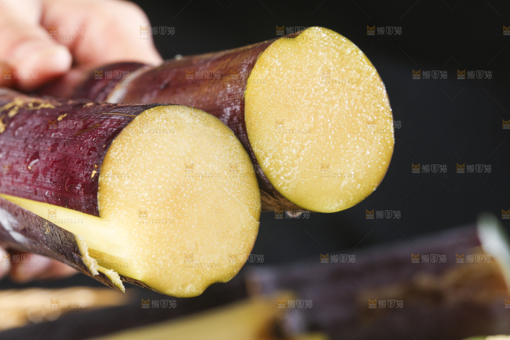 手里拿着广西黑皮甘蔗