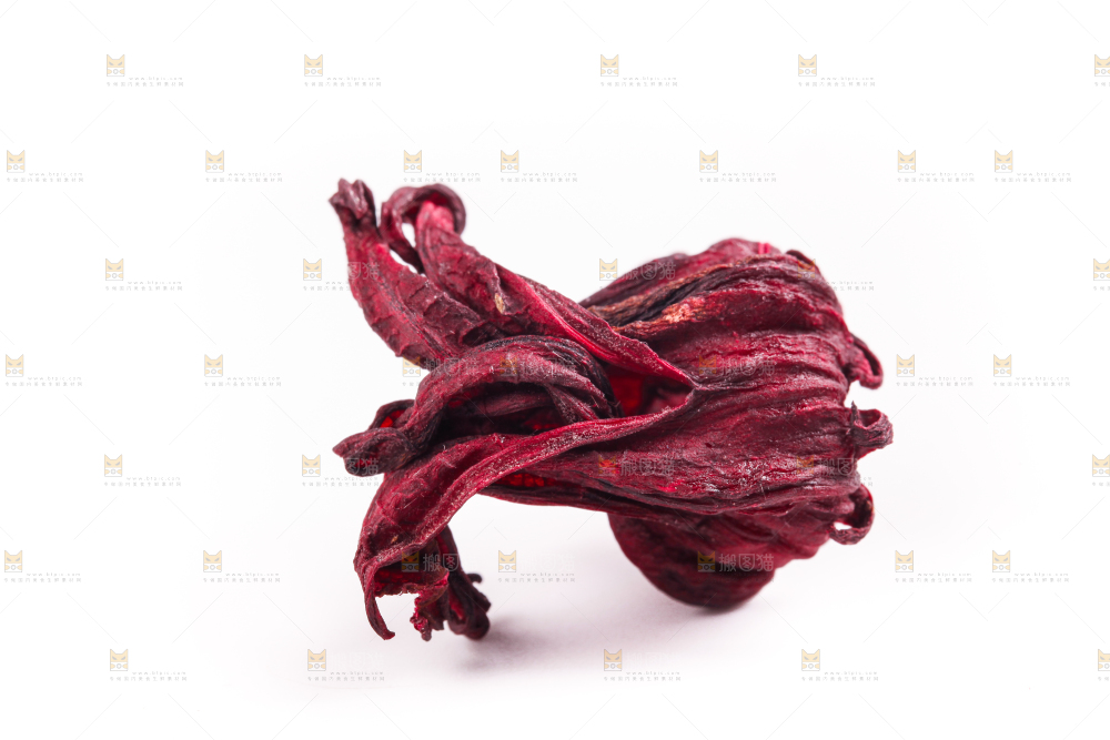 白底上的玫瑰茄