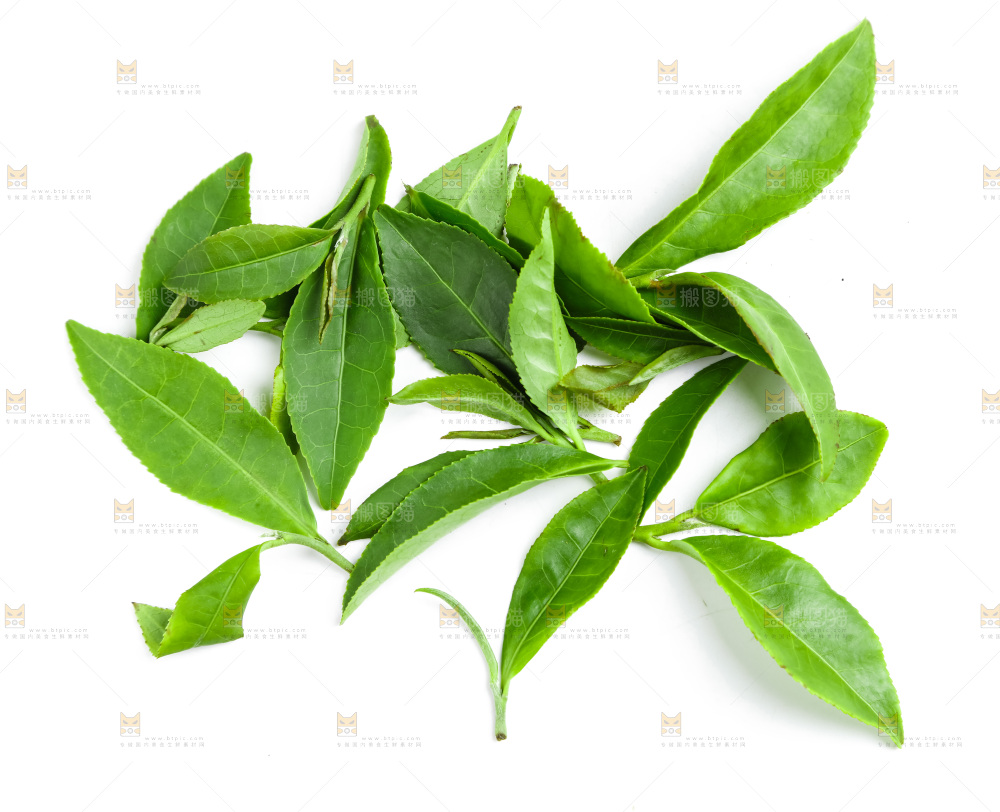 白底上摆放着茶叶子