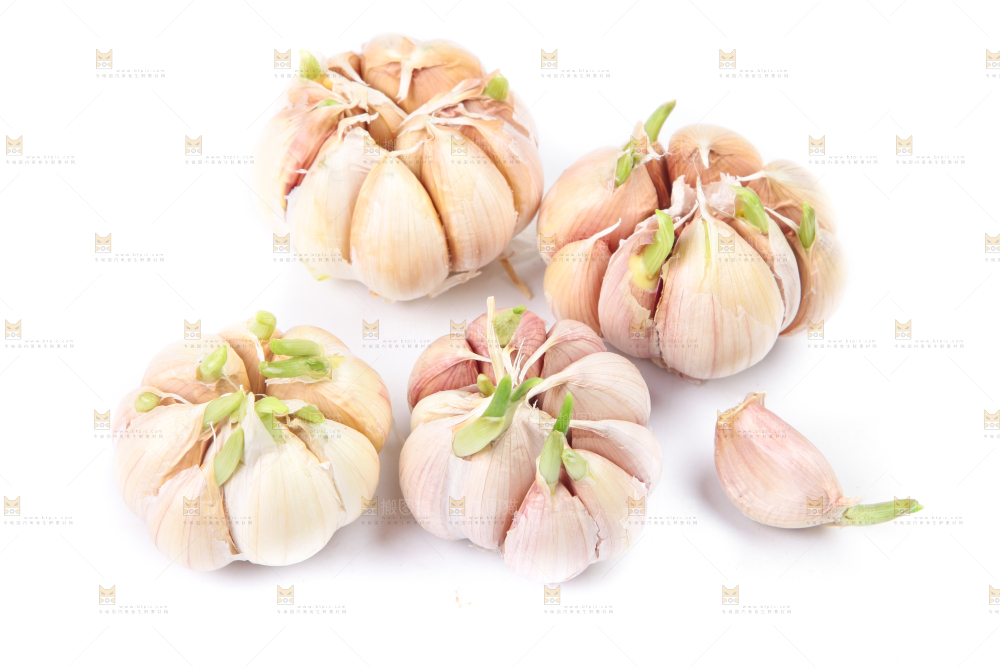 白底上放着紫皮蒜
