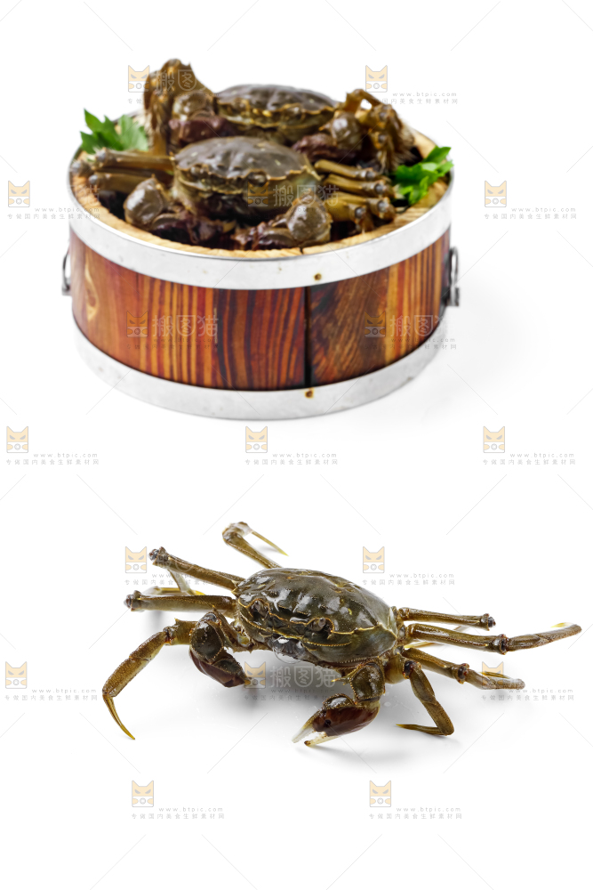 蒸笼里放着阳澄湖大闸蟹