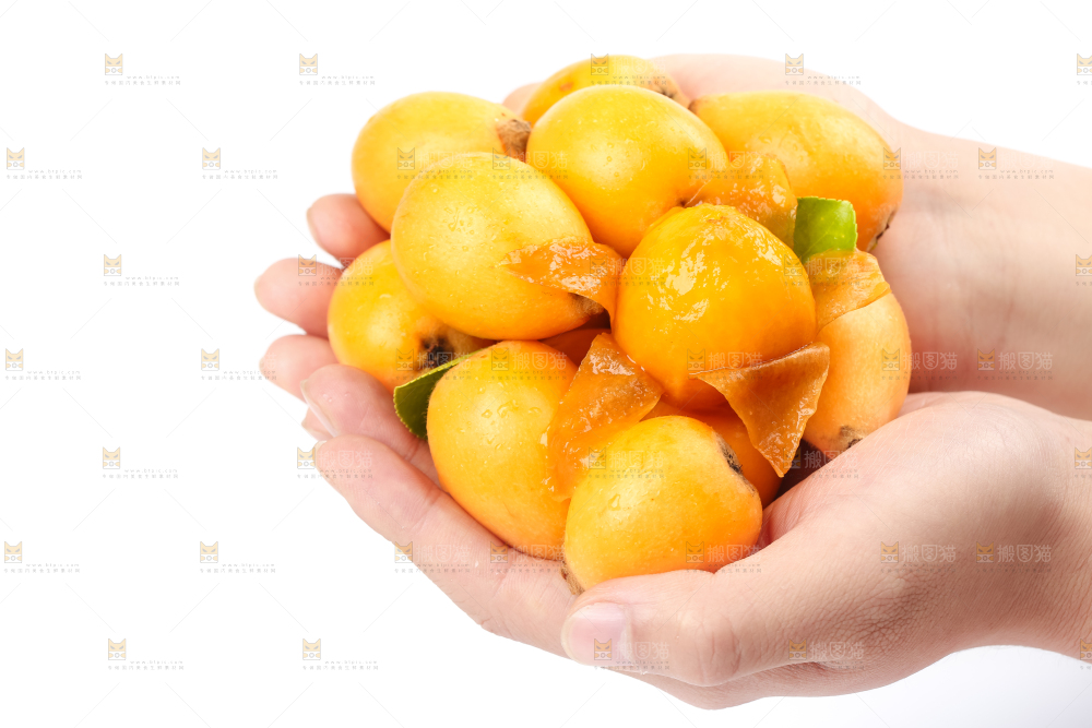 手里捧着云南蒙自枇杷