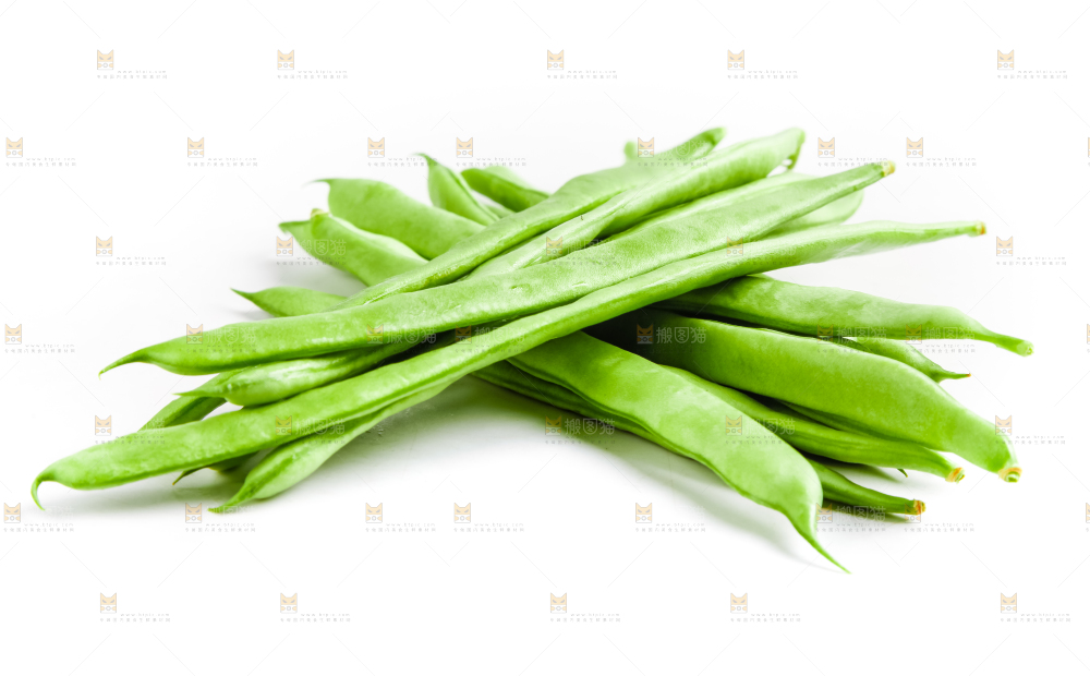 白底上的四季豆
