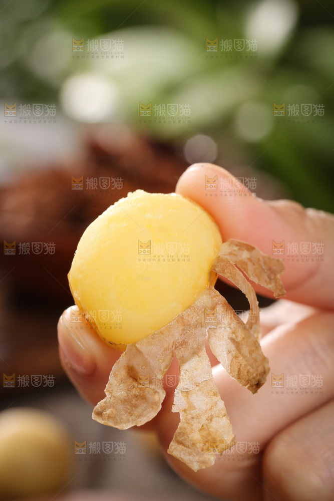 手里拿着小土豆