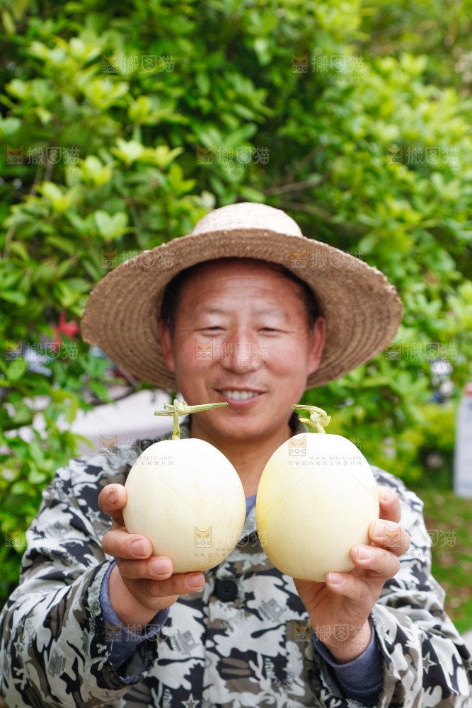 农民手里拿着阎良甜瓜