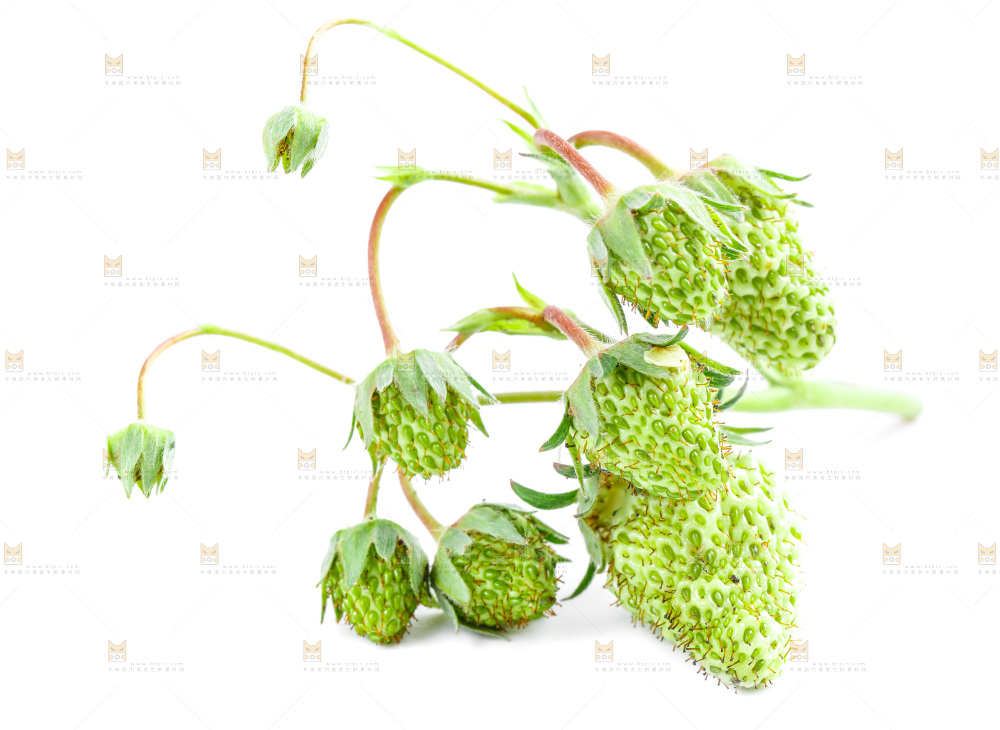 白底上的新鲜草莓