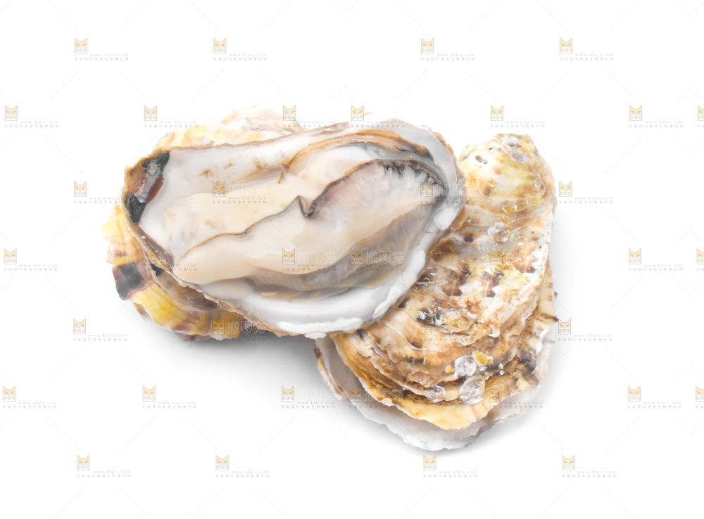 浅底上的生蚝