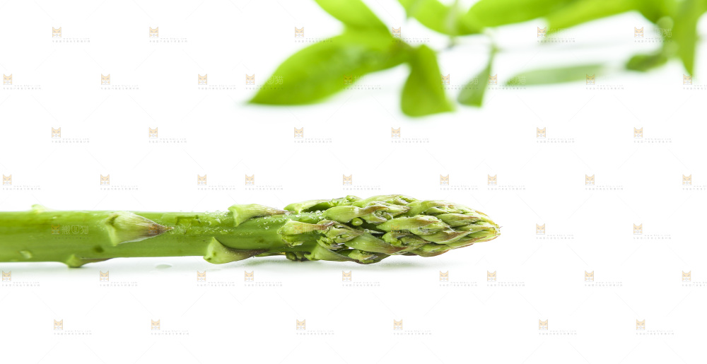 白底上的新鲜芦笋