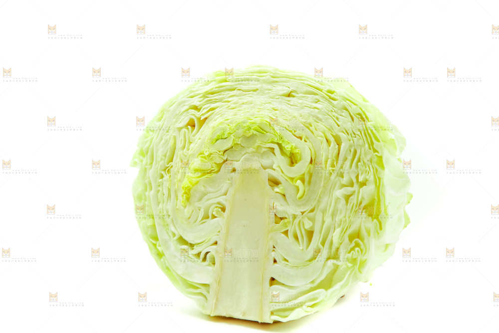 白底上的包菜