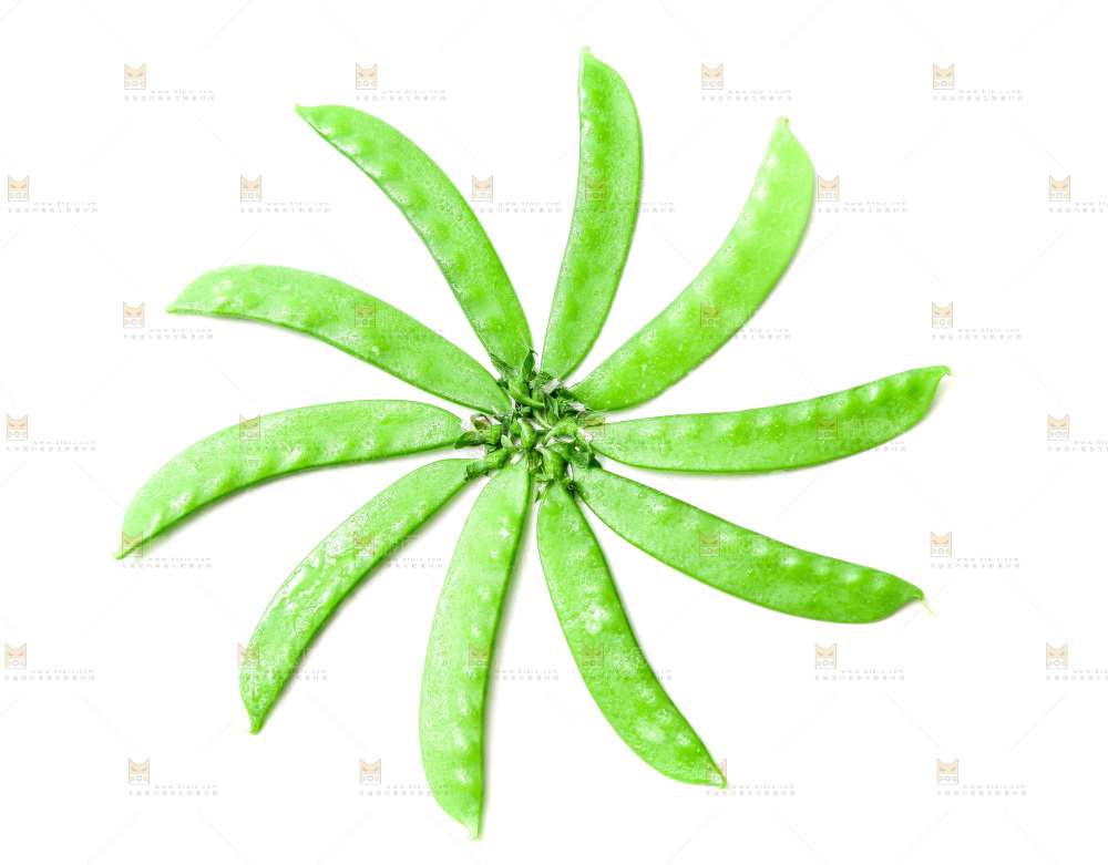 浅底上的荷兰豆