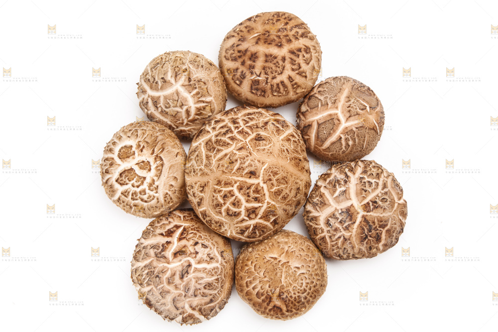 白底上放着花菇