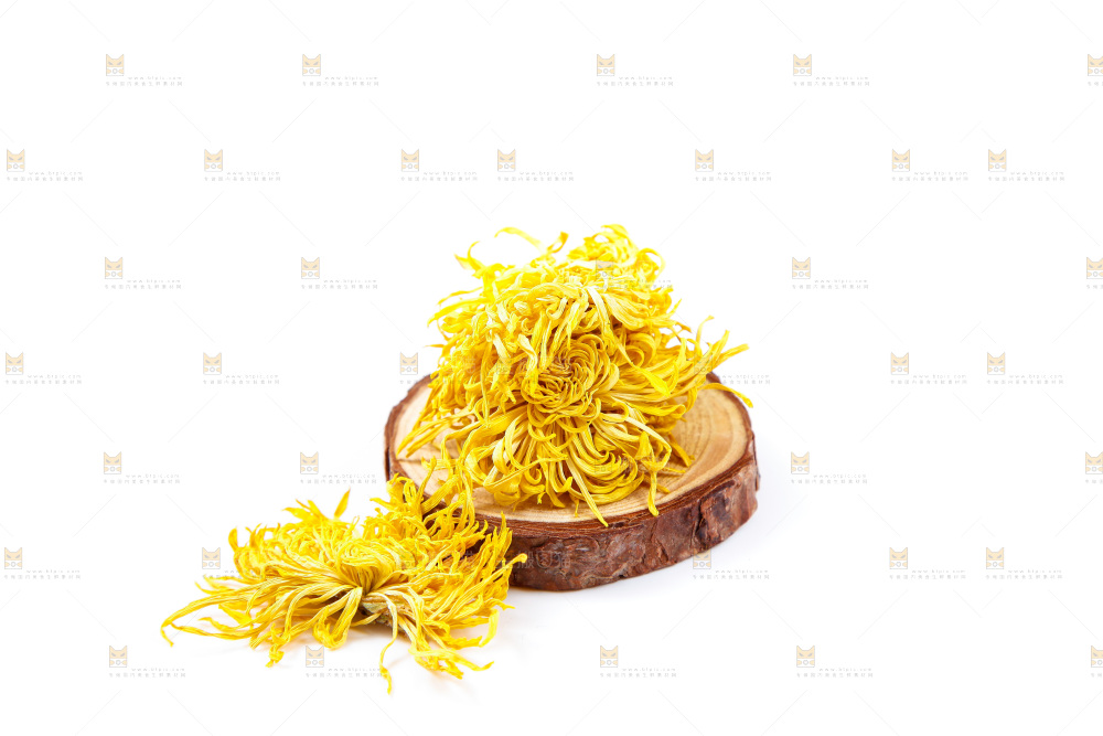 白底上的菊花