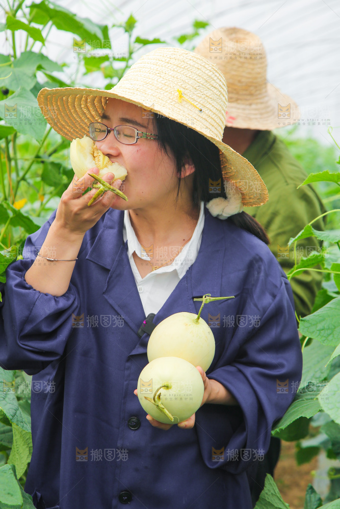 吃着阎良甜瓜