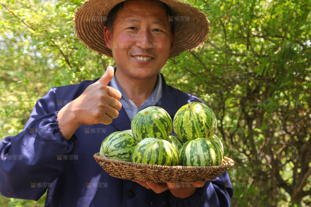 手里端着一篮花蕾甜瓜