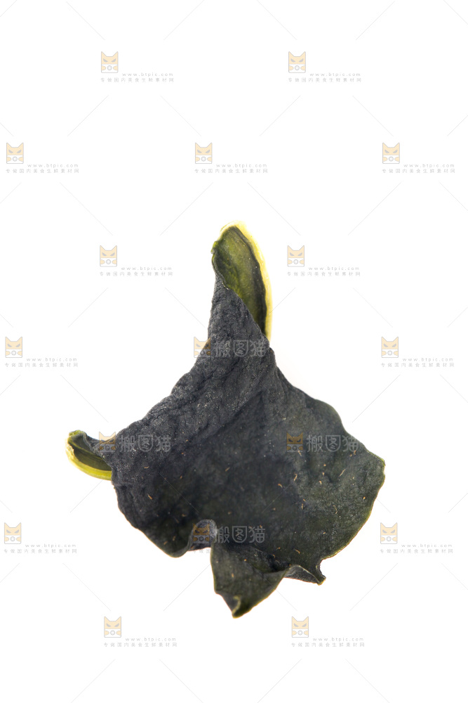 白底上摆放着裙带菜
