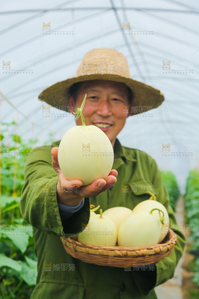 一篮新鲜阎良甜瓜