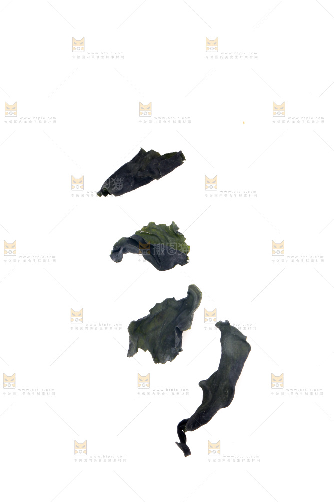 白底上摆放着裙带菜