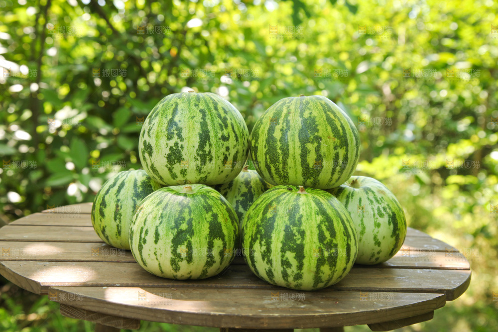 桌子上放着一堆新鲜花蕾甜瓜