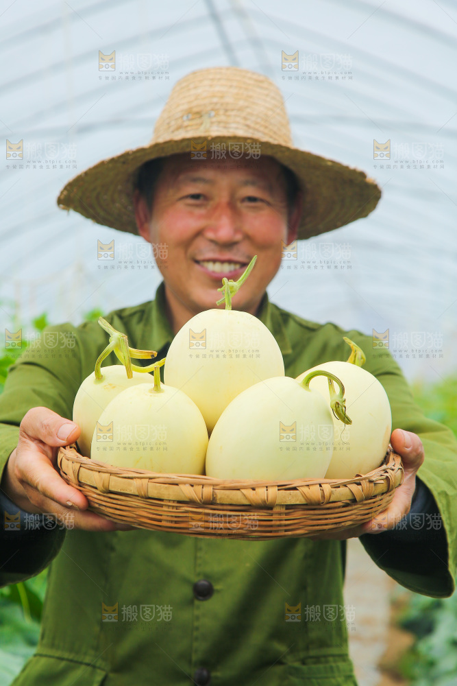 手里端着一篮阎良甜瓜